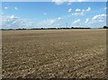 Stubble field off Neal's Gate in PE12 8SW