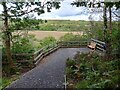 Riverside viewpoint Minwear Wood in SA67 8AA