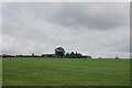 Field below Windsover Farm in LS29 0EB