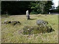Prehistoric roundel, Dalginross, Comrie in PH6 2PF