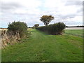 Bridleway to Yarburgh in LN11 0NU