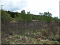 Scrub land to the east of Killichonan burn in PH17 2QW