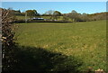 Field by Dunscombe Forge in TQ13 0EL