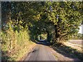 Hurrells Lane, Little Baddow in CM3 4BH