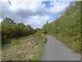 Path on former railway in S71 1NT