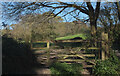 Gate east of Mistletoe Farm in TQ13 0DQ