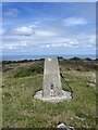 Trig Point on Mynydd Eilian in LL68 9NG