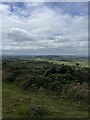 View west from the summit of Mynydd Eilian in LL68 9NG