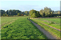 Track and farmland, Brimpton in RG7 4SP