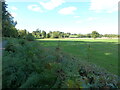 Grass field near Holme Lacy in HR2 6LN