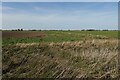 Field by Cock Fen Road in PE14 9QF