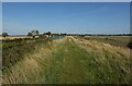 Bridleway by Well Creek in PE38 0BQ
