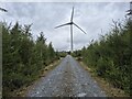 Forestry road on Hill of Tillymorgan in AB52 6UN