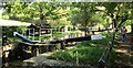 Wey & Arun Canal - Baldwin's Knob Lock in RH14 0RP