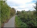 Path and cycle route on former railway in S71 5JU