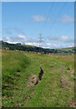 A track through the fields south of Pow Burn, Cleish in KY13 0LL