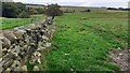 Dry stone wall between fields west of Chesterfield in NE47 6HJ