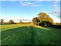 Footpath and Fields near the Llangollen Canal in Ravensmoor