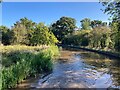 Llangollen Canal near Wrenbury-cum-Frith in CW5 8EL