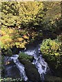 Waterfall, Rouken Glen in G77 6QX
