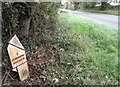 Old Milepost by the A338, Ringwood Road, Bickton in SP6 2BH