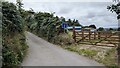 The lane to Higher Stennack in TR14 9JT