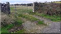 Field gateway on west side of North Road in NE47 6HJ