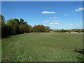 Grassland near Charlton in WR11 2RD