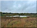 Lake in Aldecar Flash Nature Reserve in NG16 5BF