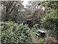 Path and picnic table, Choppington Community Woods in NE62 5YZ