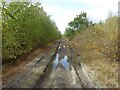 Rutted track, north of Bolton Ings in S63 8EN
