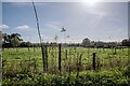 Salisbury : Grassy Field in SP5 3DB