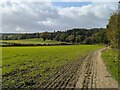 Bridleway and farmland near the Outwoods in LE11 2UT