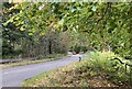 A wooded stretch of the A834 at Millnain in IV14 9FA