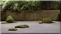 Japanese Garden in TR8 4EU