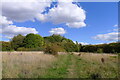 Footpath towards the Brook Lane estate in LE11 2UT
