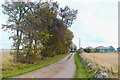 Tree-lined driveway to Dykehead in AB45 2BN