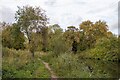Footpath along the Chelmer, Ulting in CM9 6RA