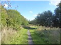 Path around Whiston Woods, Cumber Lane in L35 9LG