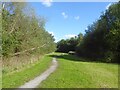 Path in Whiston Woods, Cumber Lane in L35 3SS