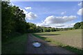 The Test Way along the foot of Hart Hill Down in SP11 0EE