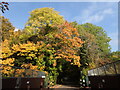 Autumn colours over the Chesham Branch in HP6 6UL