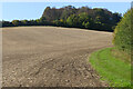 Farmland, Chesham Bois in HP6 5RQ