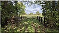 Footpath near Priory Piece Farm in WR7 4HT