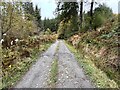 Farm / forestry track in Cwm Cedig in SY10 0ND