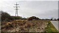 Pylons and gorse in field on south side of road SE of Hayton in CA7 2PG