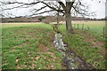 Small low weald stream in TN30 7DP