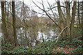Pond, Great Piper Wood in TN30 7DP