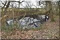 Small low weald pond in TN26 3RF