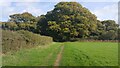 Footpath towards Elmers Copse in BH23 8AU